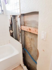 Mold Remediation