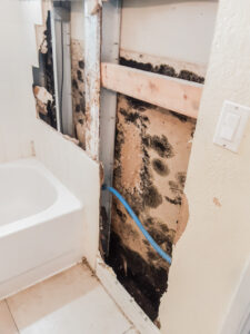 Mold Remediation