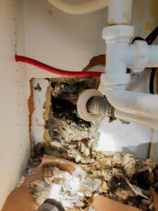 Water Damage Restoration